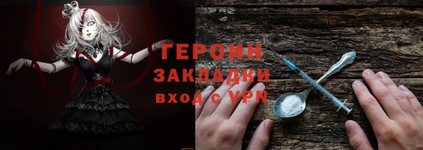 шишки Ельня
