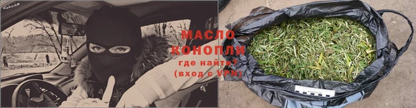 шишки Ельня