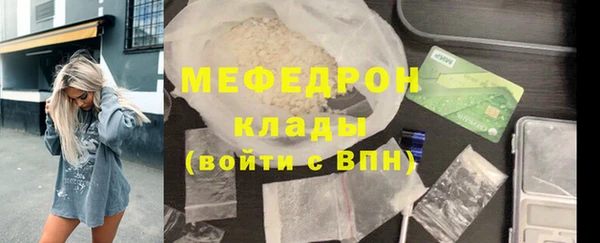 шишки Ельня