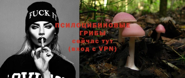 шишки Ельня