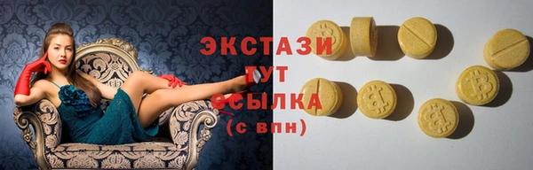 шишки Ельня