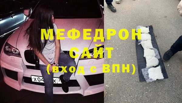 шишки Ельня