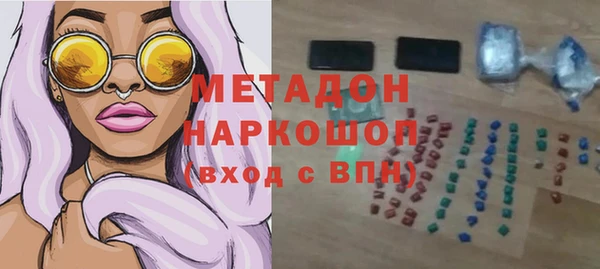 шишки Ельня