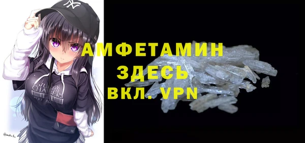 шишки Ельня