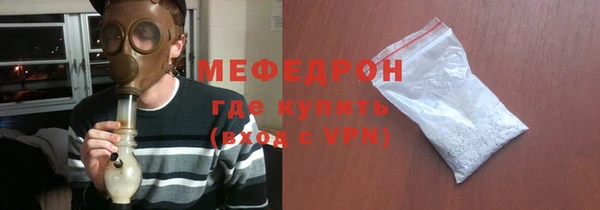 шишки Ельня