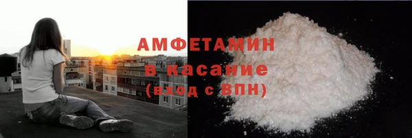 шишки Ельня
