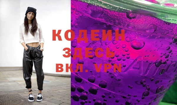 шишки Ельня