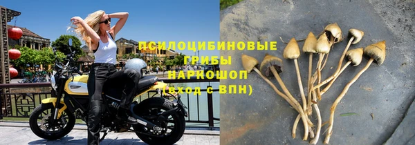 шишки Ельня