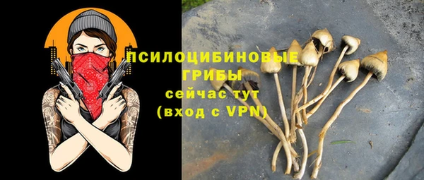 прущая мука Елабуга