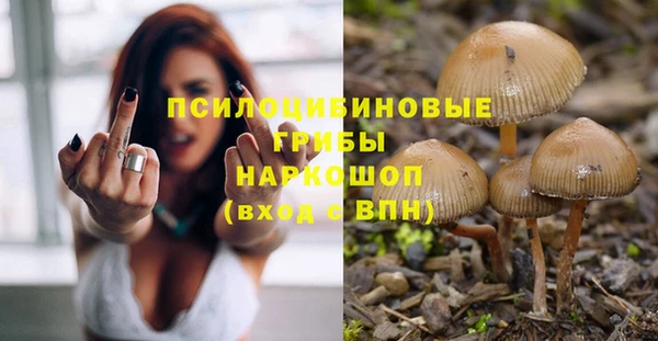 шишки Ельня