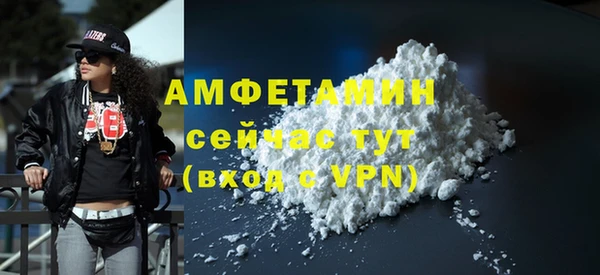 шишки Ельня