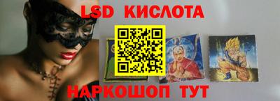 spice Кингисепп