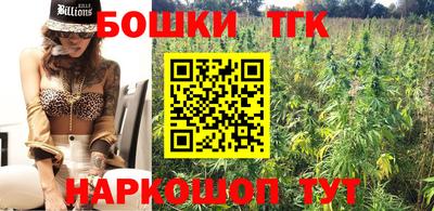 spice Кингисепп