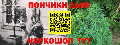 spice Кингисепп